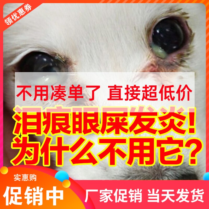 Eye health眼康眼部感染滴剂宠物猫狗狗眼药水滴眼液眼睛发炎流泪