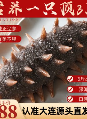 大连原产地优选直发即食辽参王