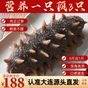 9年鲜食即食海参大连辽刺参野生孕妇大连海参500g海参礼盒装年货