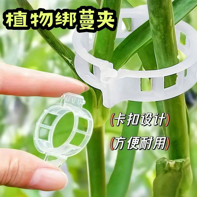 瓜果蔬菜藤蔓可拆调绑扎支撑架图片