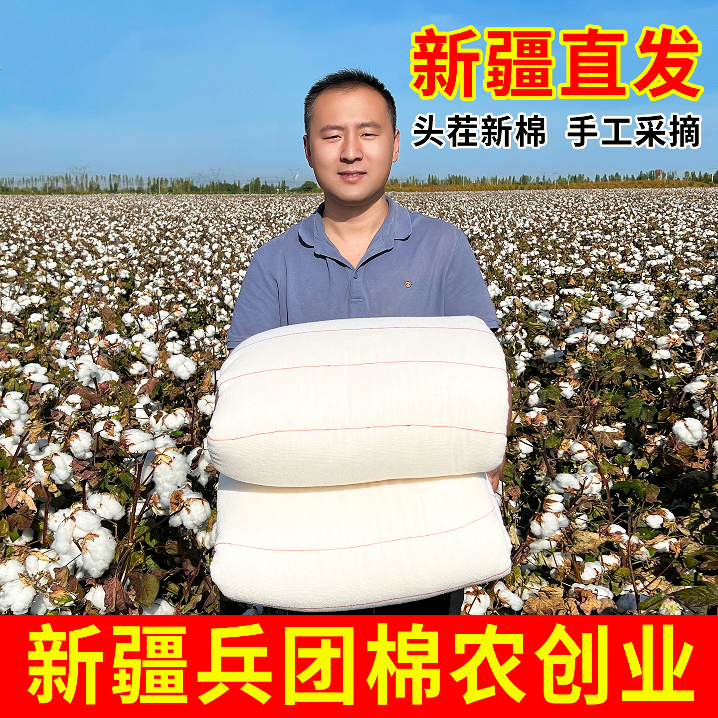 新疆长绒棉花被纯棉被子全棉被芯棉絮床垫被褥子加厚保暖学生冬被