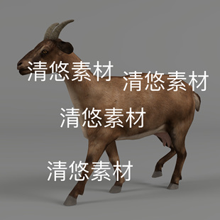 山羊动物3D模型山羊骨骼绑定动作文件 非实物A462 fbx格式 c4d