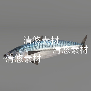 海鱼鲭鱼3D模型骨骼绑定动作文件 非实物B954 fbx格式 海洋动物c4d