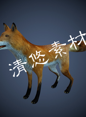 c4d fbx格式模型狐狸红狐野生动物骨骼绑定带动画 非实物852