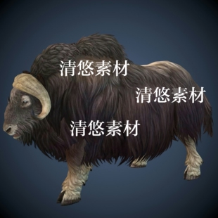 骨骼绑定带动作动物麝牛毛牛模型文件c4d 非实物A380 fbx格式