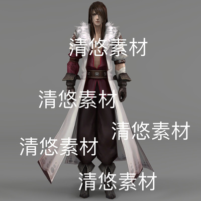 3dmax c4d fbx格式人物模型bip骨骼绑定打太极动作文件 非实物D10