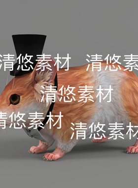 3dmsx c4d fbx格式骨骼绑带动作帽子老鼠仓鼠动物文件 非实物E243