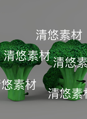 3dmax c4d fbx obj格式蔬菜西兰花模型文件 非实物D764