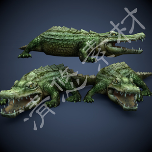 fbx格式 爬行动物 c4d 游戏全套骨骼绑定动作3dmax 251 鳄鱼模型
