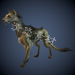 犬科动物模型另类猎犬c4d 模型狗狗骨骼绑定带动作模型A75 fbx格式