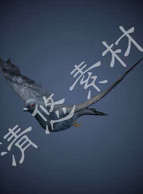 3dmax c4d动物灰蓝色鸽子小鸟带飞行动画骨骼绑定fbx格式模型499
