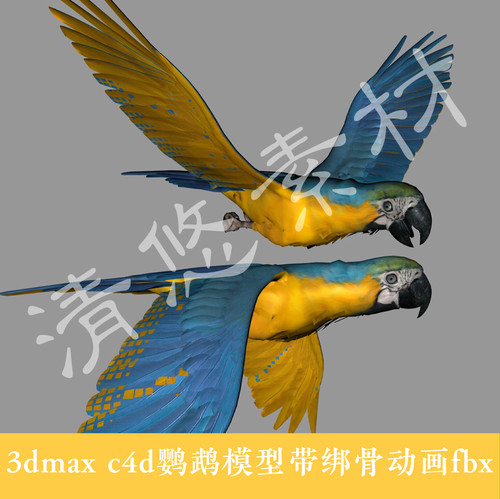 3dmax c4d鹦鹉小鸟模型 飞行动物 骨骼绑定fbx格式 064