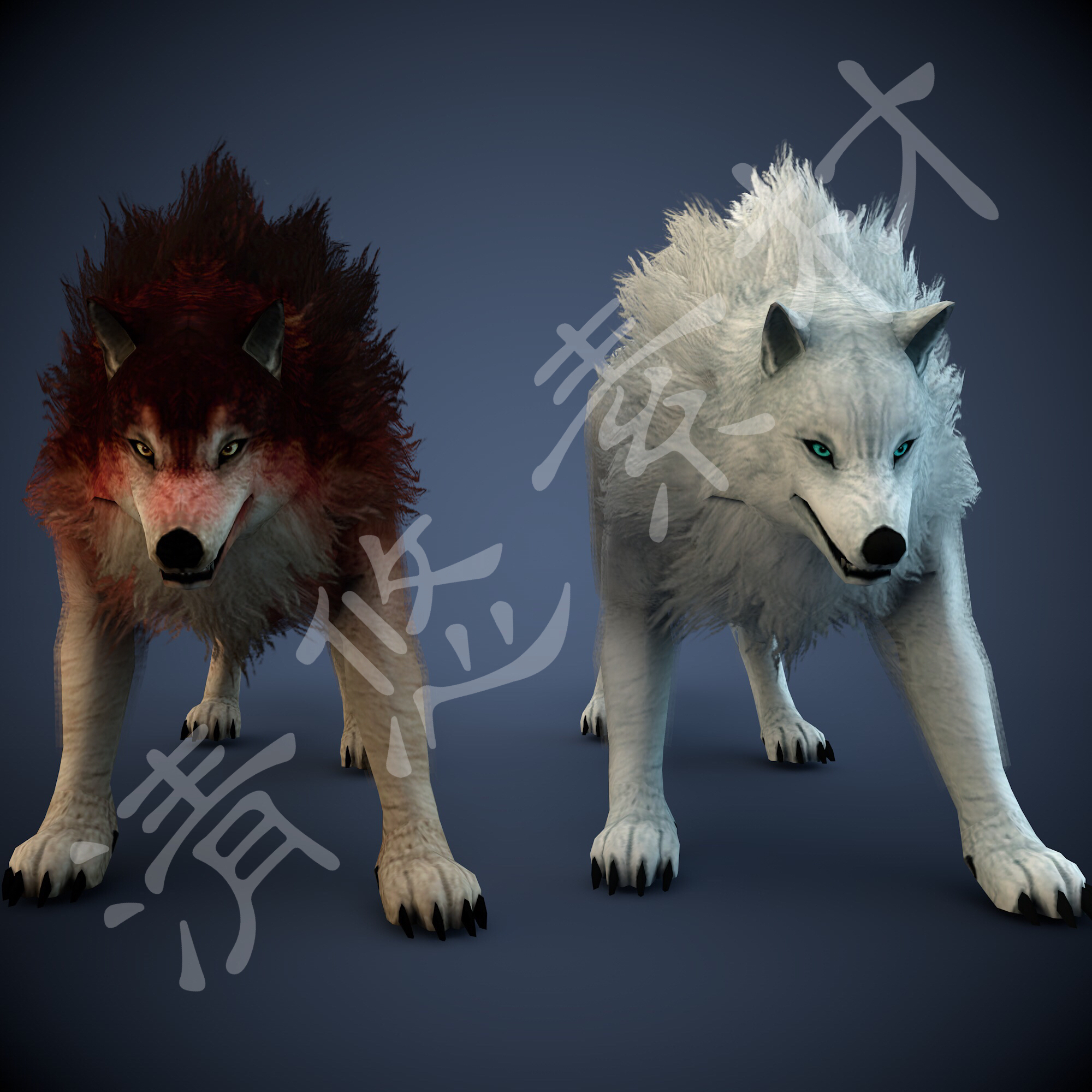 简模 犬科动物3dmax c4d野狼灰狼白狼绑定动画fbx格式 非实物264