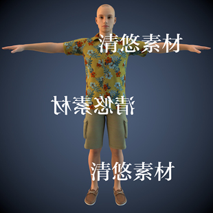 模型夏装 dazG3 c4d fbx格式 非实物A449 人物男面部身体骨骼绑定