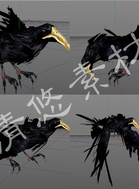 3dmax c4d乌鸦模型 飞行动物 黑色鸟类 骨骼绑定 带动画 138