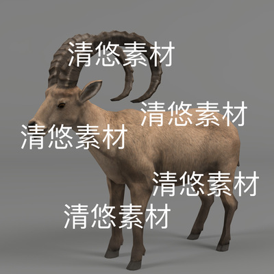 野山羊c4d fbx格式动物3D模型野山羊骨骼绑定动作文件 非实物B801