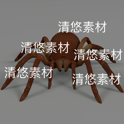 节肢动物c4d fbx格式游戏怪物蜘蛛骨骼绑定动作3D文件 非实物B900
