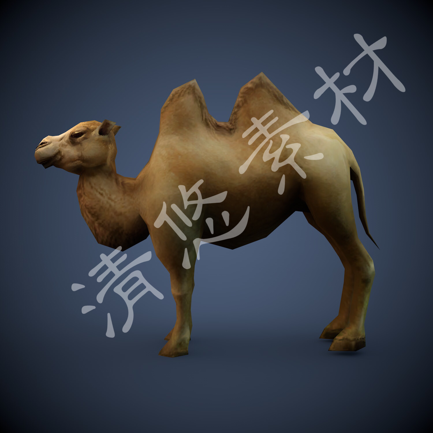 3dmax c4d骆驼3d文件沙漠之舟食草动物骨骼绑定fbx格式 非实物155