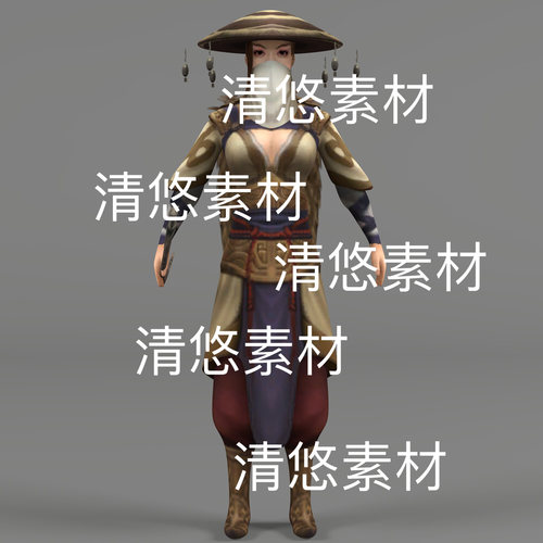 3dmax仙侠简模蒙面女刺客骨骼绑定人物bip动作数据文件 非实物D99