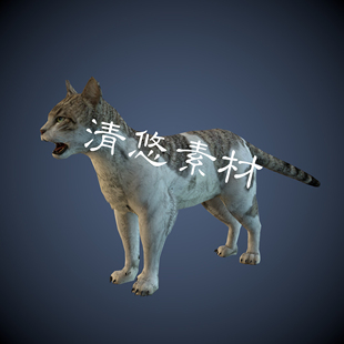 骨骼绑定四足猫科动物带动作 A189 fbx格式 猫咪猫子模型文件c4d
