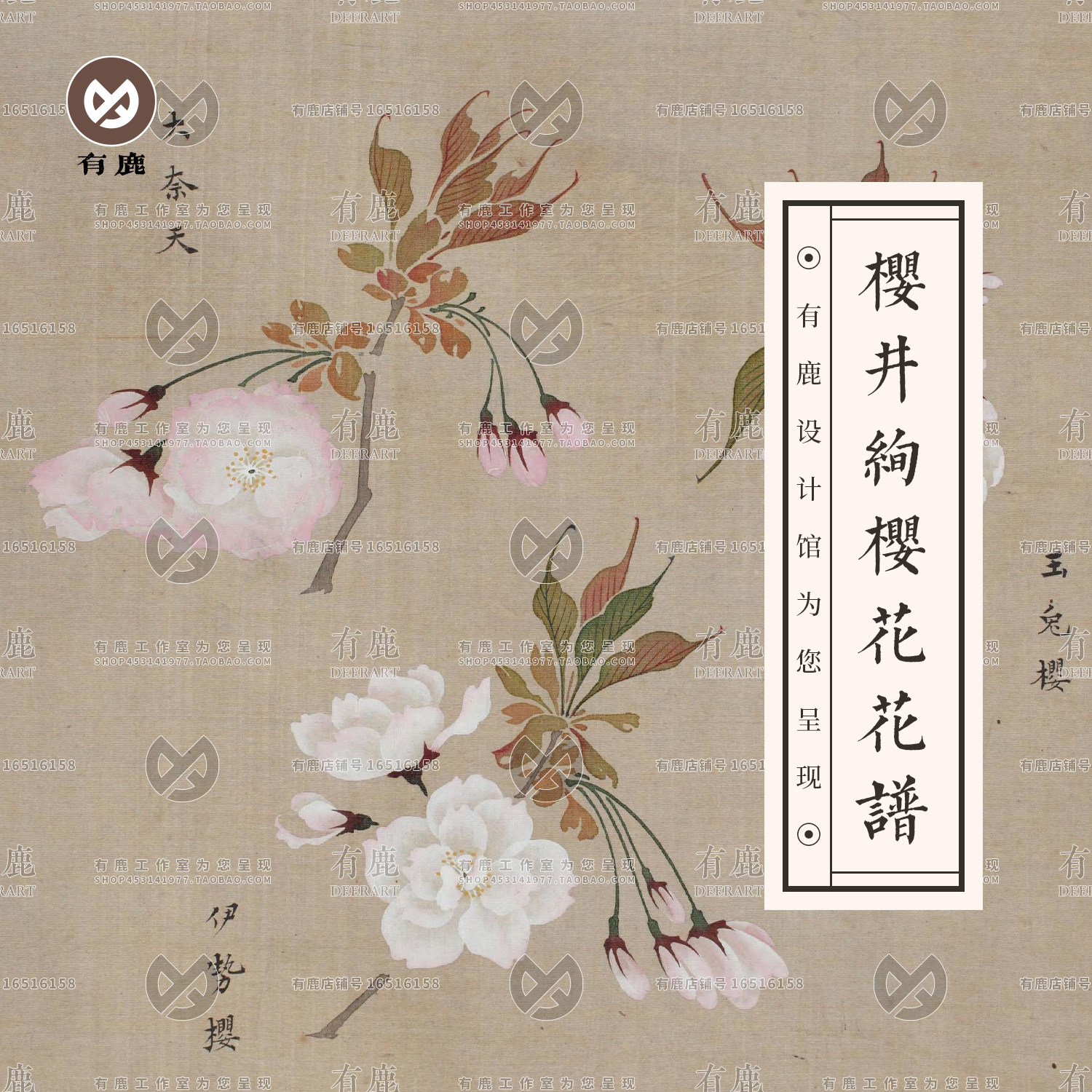 樱花花谱樱井绚国画工笔画花卉花鸟设计素材古画古典古风绘画临摹