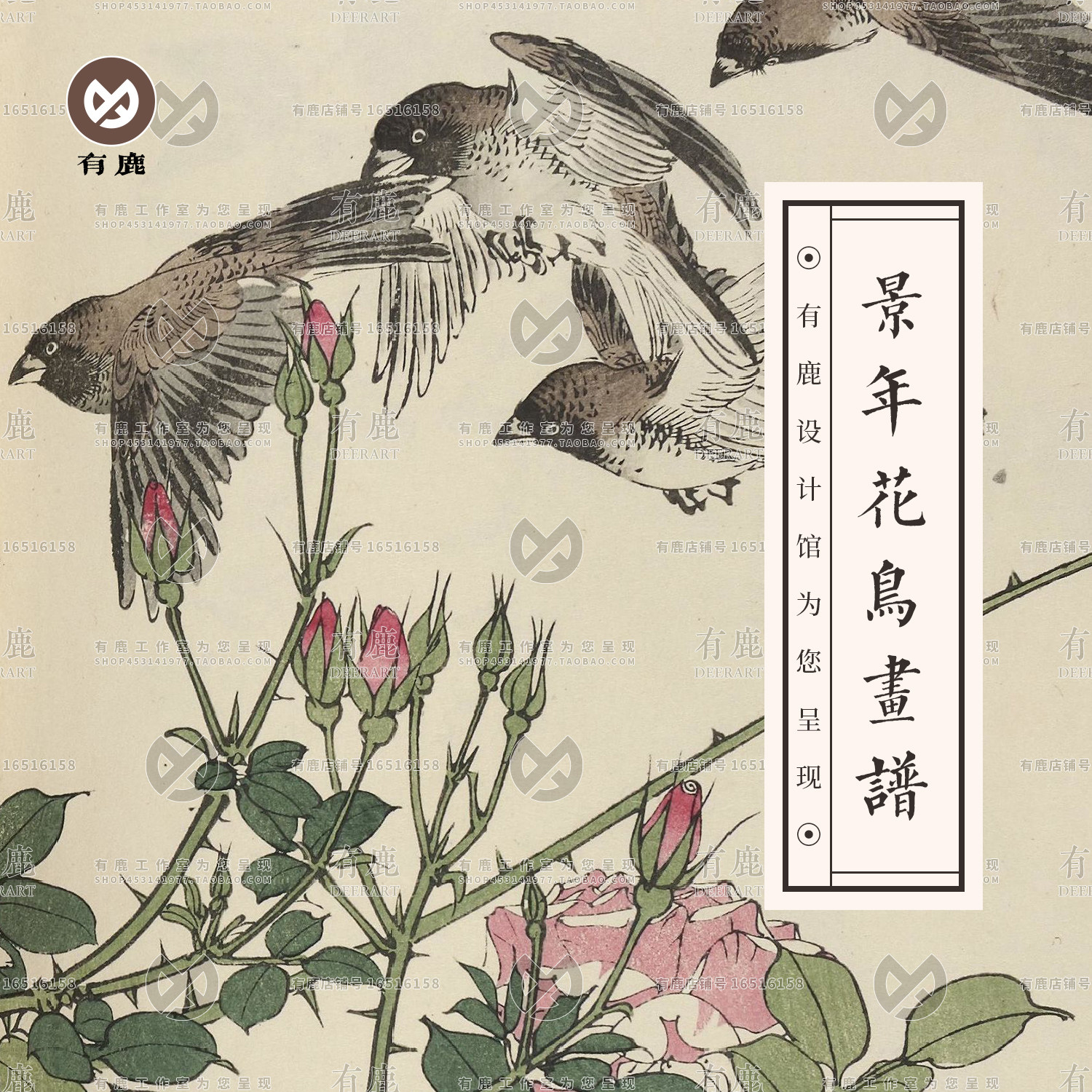 景年花鸟画谱国画古风古典工笔绘画写生临摹参考鸟类图片设计素材