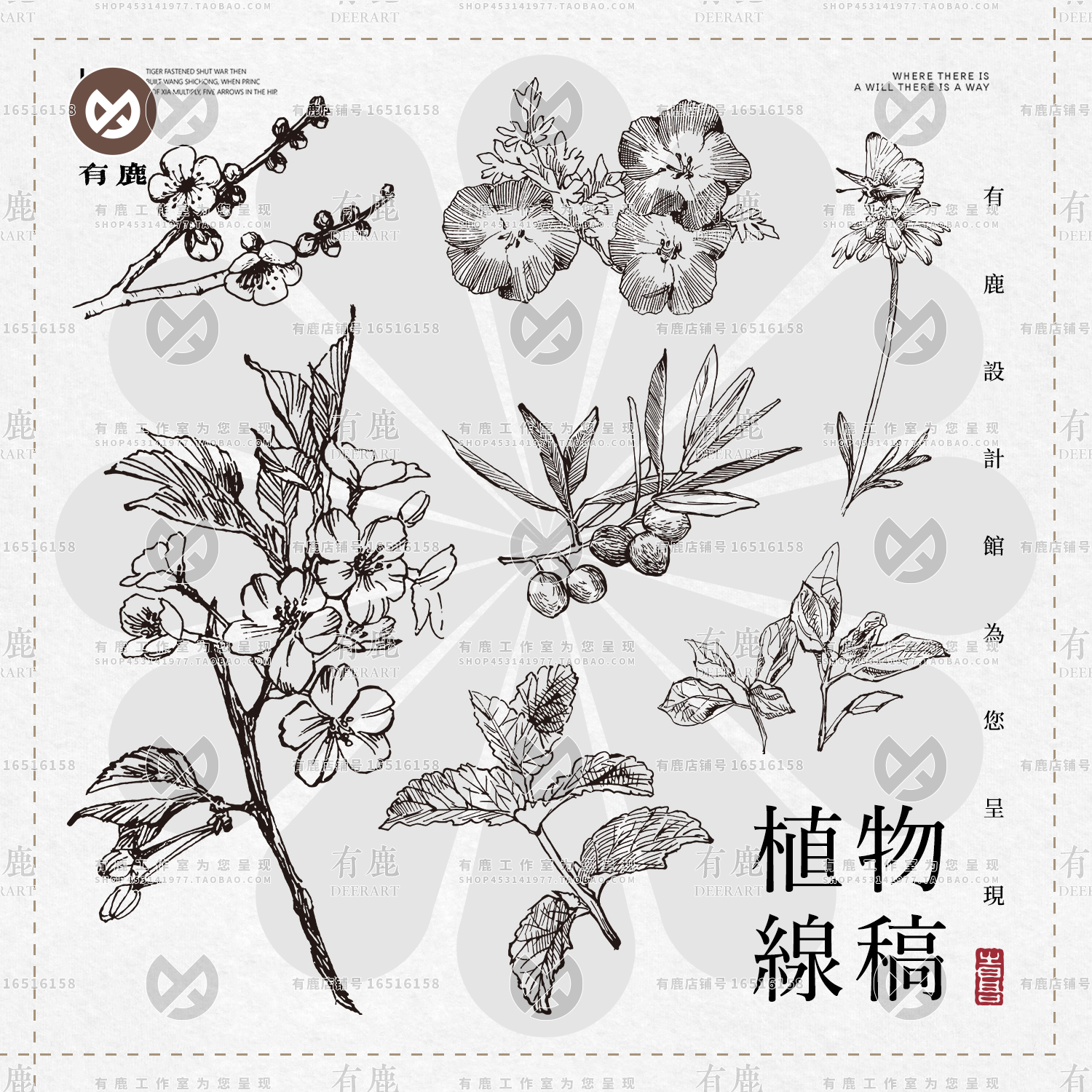 手绘草本植物线稿素描花卉玫瑰树叶线描包装ai矢量设计素材免抠图