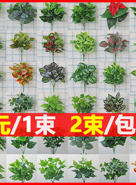 室内外装饰绿萝小墙面配材叶花草