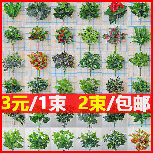 室内外装饰绿萝小墙面配材叶花草