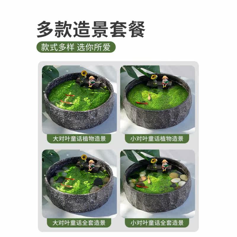 微景观灰猫垂钓陶瓷养鱼缸水培植物种子盆栽桌面生态造景怎么看?