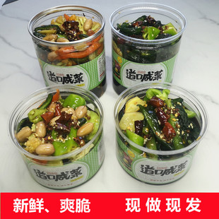 淄博特产 道口咸菜新鲜蔬菜黄瓜八宝配粥下饭酱菜即食小咸菜泡菜