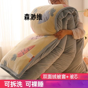可拆洗套装加厚保暖冬季被芯冬被冬天棉被子单人双人10斤双面毛绒