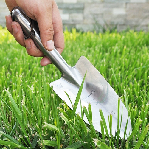Семя из нержавеющей стали цветочниковые семена маленькая лопата железо сад сад искусство железная садовая лопата лопата лопата сталь 锹 Эмпрессионный почвенный инструмент садоводства