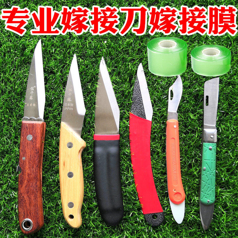 果树嫁接刀专用进口接芽接树芽特种钢园艺园林工具嫁接膜接芽刀