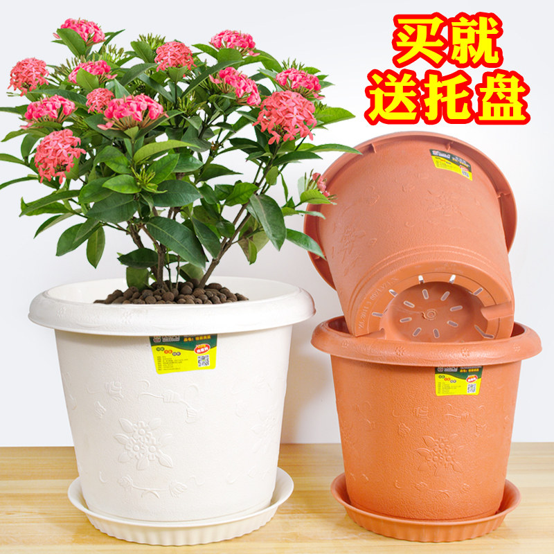 花博士格莱美音符花盆加厚塑料树脂种植盆特价清仓大号盆阳台家用