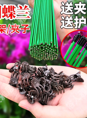 园艺花卉花枝夹子蝴蝶兰花专用造型铁支架蔓藤爬藤植物固定夹子