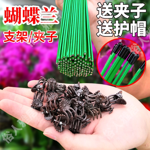 园艺花卉花枝夹子蝴蝶兰花专用造型铁支架蔓藤爬藤植物固定夹子