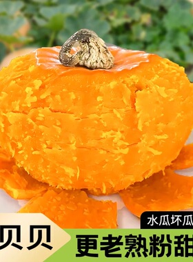 寿光红色贝贝南瓜粉金贝贝南瓜新鲜蔬菜婴儿辅食甜粉糯代餐