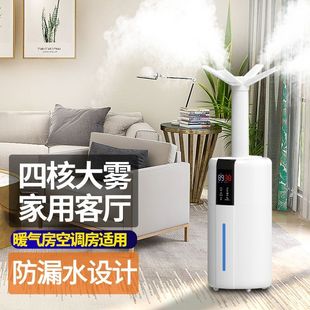 工业加湿器超市蔬菜水果保鲜摆摊麻辣烫商用大容量型防静电喷雾器