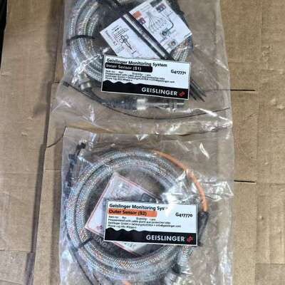 售前Geislinger盖斯林格扭振监测传感器，GMS MA