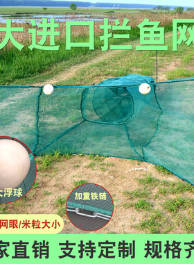 琴飞扬三毫米眼拦鱼网捕大小鱼虾