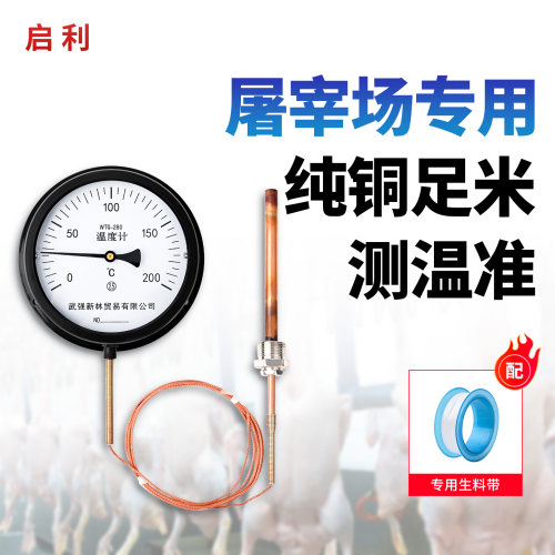 启利压力式指针锅炉水温计