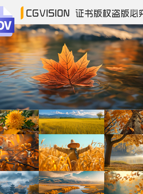 唯美秋天立秋分落叶森林金色自然风景空境动态led背景4k视频素材