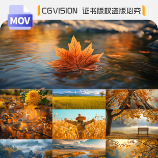 唯美秋天立秋分落叶森林金色自然风景空境动态led背景4k视频素材