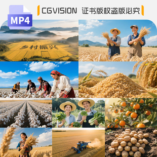 农业丰收喜悦农民笑容美丽乡村振兴水稻玉米棉花蔬菜三农视频素材