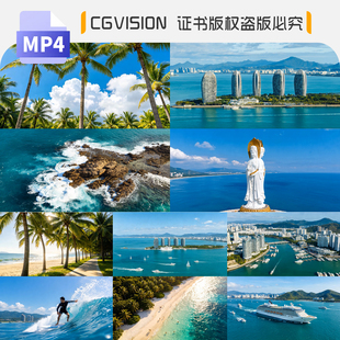 海南三亚航拍延时热带风光椰子树林阳光沙滩旅游度假宣传视频素材