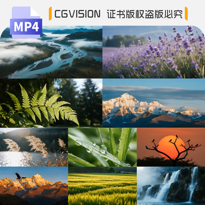 自然风景风光快切意境情绪转场空镜混剪快闪企业宣传片短视频素材