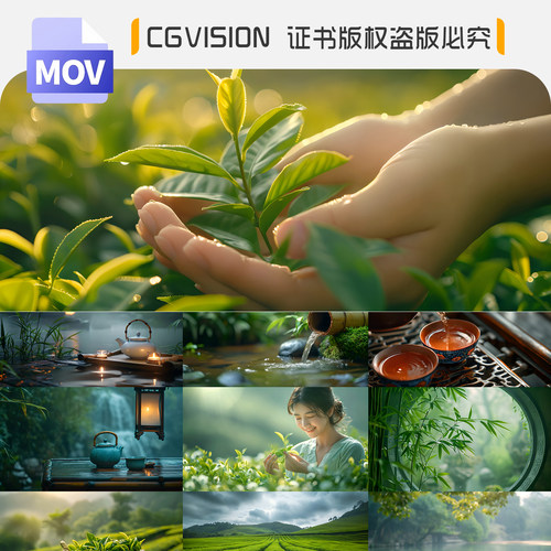 4K高清茶文化绿茶道采茶泡茶园茶山喝茶品茶禅意意境剪辑视频素材