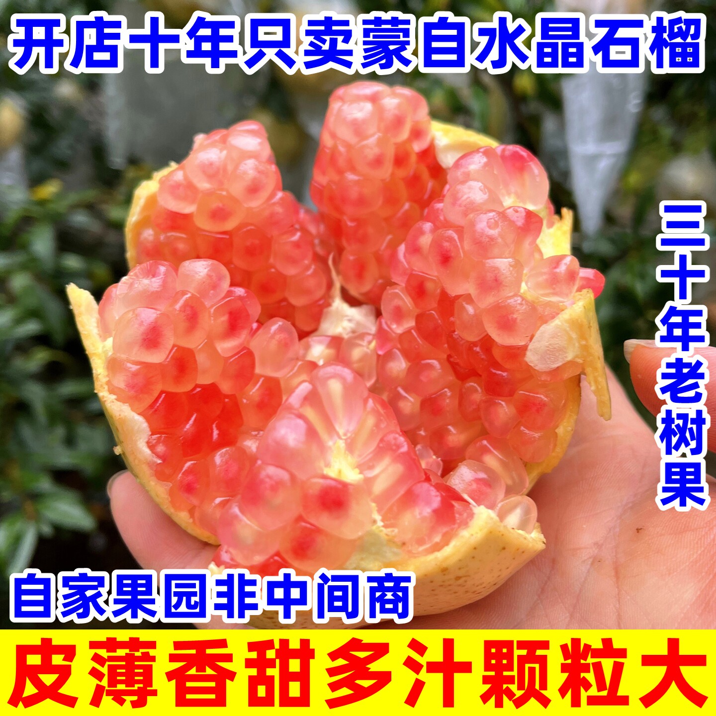 一家卖了十年蒙自薄皮甜石榴的店
