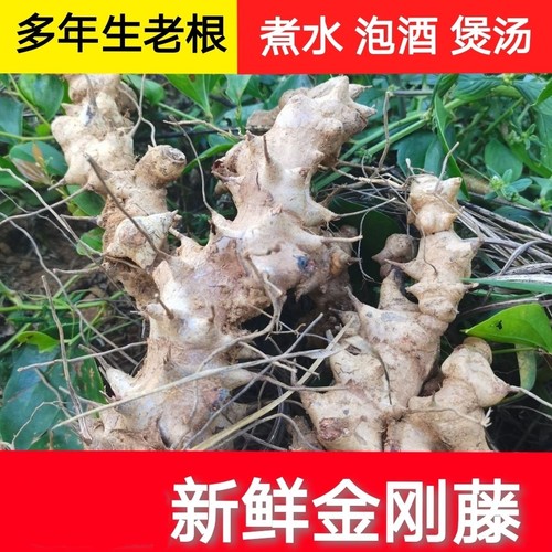 菝葜中药材深山新鲜现挖金刚藤根金刚刺铁菱角煲汤泡酒泡水利湿